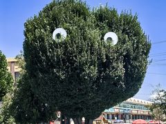 -特克斯八卦城