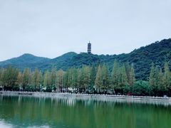 -黄贤森林公园