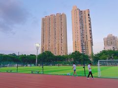 -福田体育公园