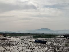 -北岐滩涂