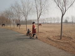 -兴安湖生态运动公园