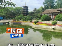 -北京世界公园