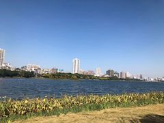 -南宁南湖公园