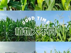 -汉长安城未央宫国家考古遗址公园