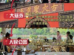 -成都大熊猫繁育研究基地