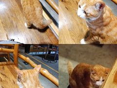 -渔太泰漓江小馆·广西融合菜(西街店)