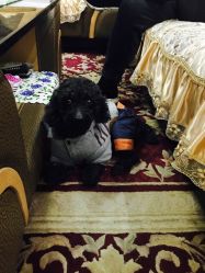 -杉惠素颜美妆皮肤管理中心