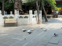 -潭柘寺景区