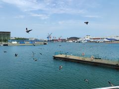 -海驴岛(荣成市)