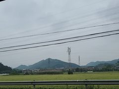 -李东农庄(中南百草园地标店)