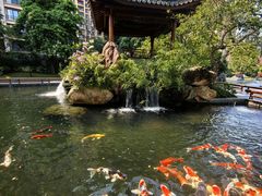 -星河湾半岛酒店-真粤中餐厅