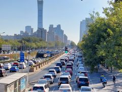 -三里屯东五街银杏大道