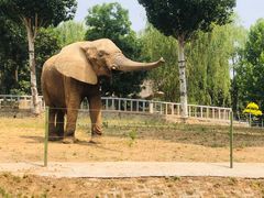 -石家庄市动物园