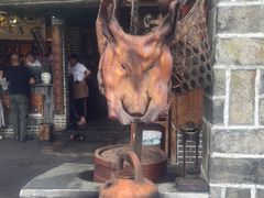 -青城甲(青城山店)