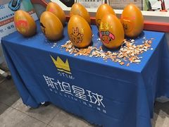 -斯坦星球AI编程·机器人科创·科学实验·信奥·思维·STEM·乐高·竞赛考级(长宁虹桥大融城荟聚中心)