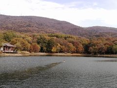 -紫霞湖公园