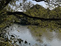 -同里国家湿地公园