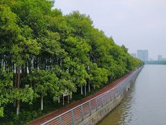 -宁波国际会展中心
