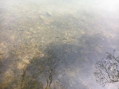 -紫霞湖公园