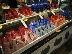 -猫咪博物馆(顶澳仔猫街店)