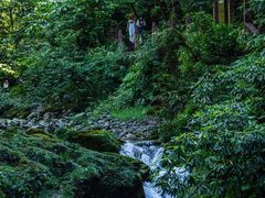 -瓦屋山景区