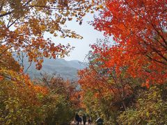 -太山飞越山西360极限飞球