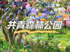 -上海共青森林公园