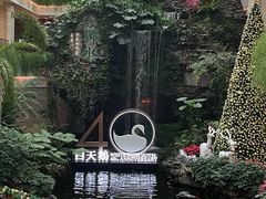 -广州白天鹅宾馆