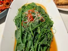 -杨氏青龙虾·羊蝎子(托乐嘉店)