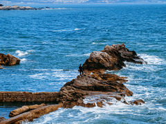 -小麦岛公园