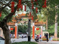 -广州市流溪河国家森林公园