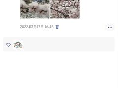 -梨园(地铁站)