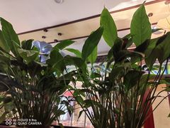 -赵记煎饼卷大葱(东岳店)