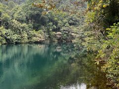 -鼎湖山风景区