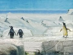-上海海洋水族馆