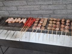 -尚庄度假村·庭台树下·户外烧烤·团建CS·轰趴营地(上庄水库店)