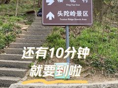 -紫金山山顶公园