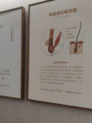 点击看大图 -熙朵美学植发·连锁品牌