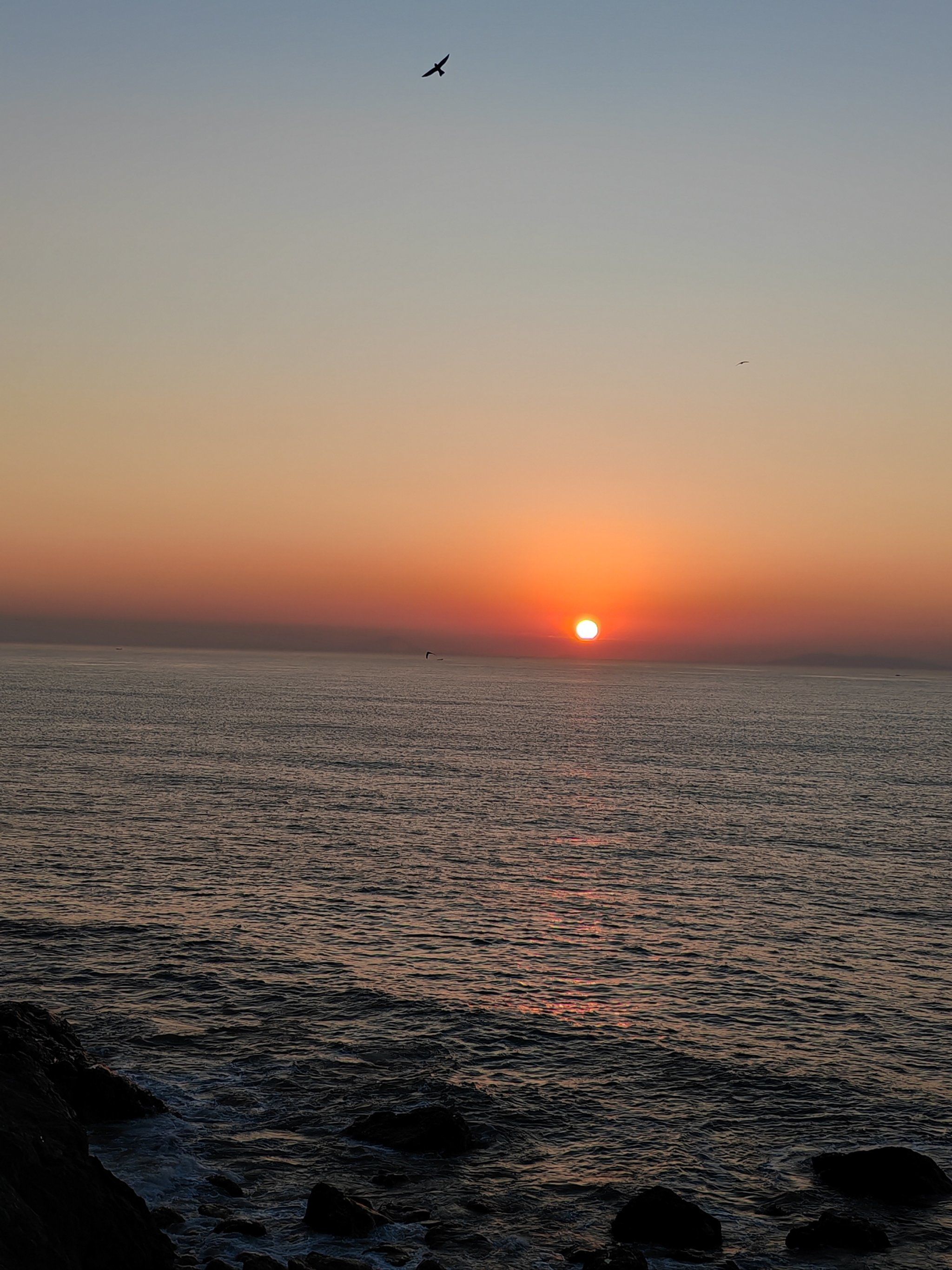 茂名童子湾日出