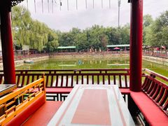 -尚庄度假村·庭台树下·户外烧烤·团建CS·轰趴营地(上庄水库店)