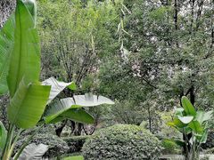 景点-成飞公园