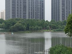 -南翔镇银翔湖公园