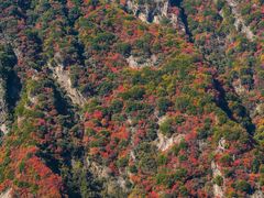 -秦岭终南山世界地质公园翠华山景区
