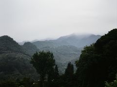 -杨家堂村