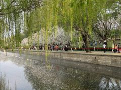 -元大都城垣遗址公园