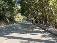 -大雁山风景区