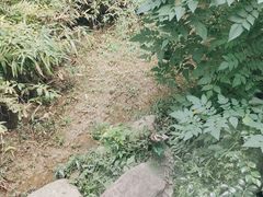 -苏州环秀晓筑养生度假村