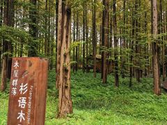 -黄海国家森林公园