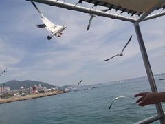 -星海广场