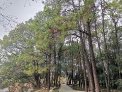 -东湖落雁景区